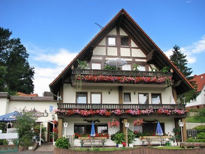 Фото: Zur Ranch